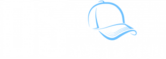 logo ds blau